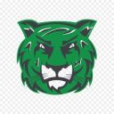 Salem University