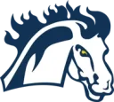 Mount Mercy University athletics logo