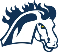 Mount Mercy University athletics logo